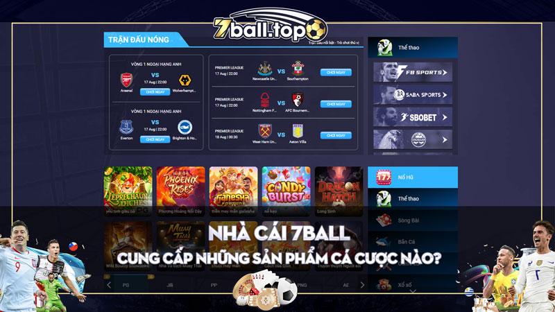 7ball cung cấp những sản phẩm cá cược nào?